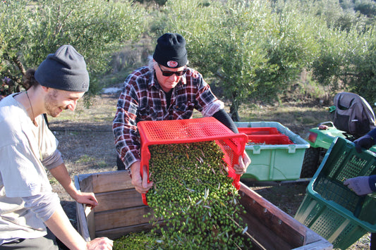 2026 Vintage is being bottled